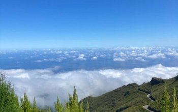Madeira so spisovateľkou