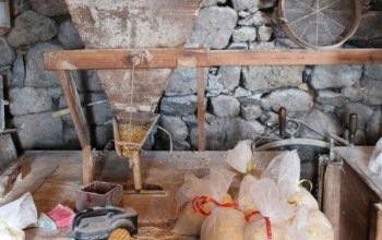 Madeira so spisovateľkou