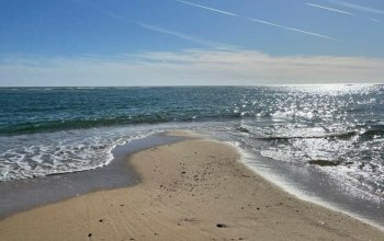 Magický Lisabon + Autentický Karneval v Algarve!
