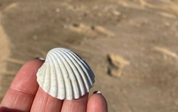 Magický Lisabon + Autentický Karneval v Algarve!