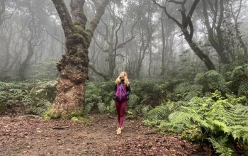Madeira - aktivní dovolená