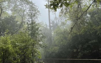 Madeira - aktivní dovolená
