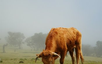 Madeira - aktivní dovolená