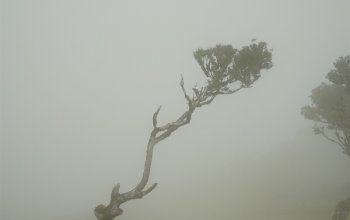 Madeira - aktivní dovolená