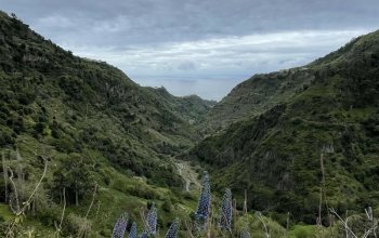 Madeira - aktivní dovolená
