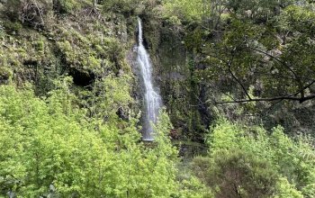 Madeira - aktivní dovolená