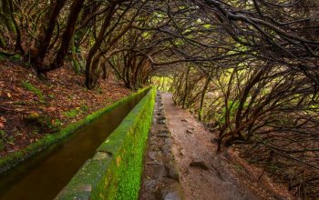 Autentická Madeira
