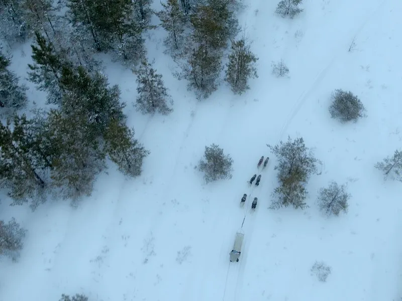 Mushing: Jízda na psím spřežení