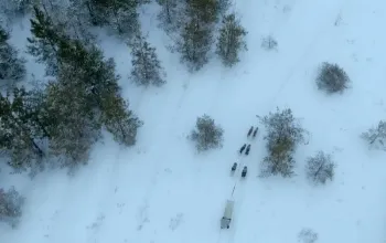 Mushing: Jízda na psím spřežení
