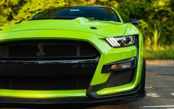 Jízda ve Fordu Mustang GT 5.0 Shelby paket