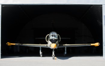 Let stíhačkou L-39 Albatros