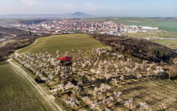 Jsem nevěsta: Vinařská wellness rozlučka