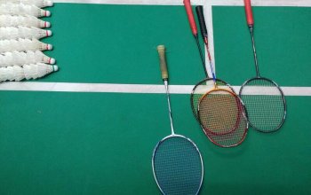 Badminton s několikanásobným mistrem ČR