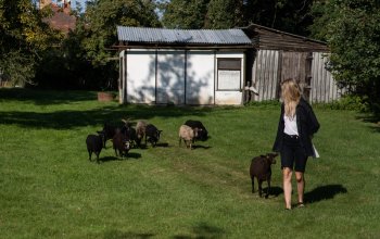 Ubytování: Tiny house s vlastní saunou