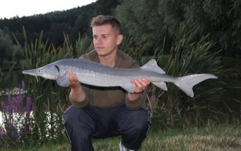 Rybaření na soukromém rybníku | zážitkový poukaz