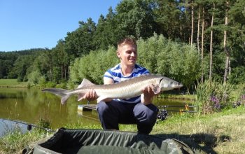 Rybaření na soukromém rybníku | zážitkový poukaz