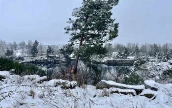 Ubytování: Tiny house s vlastní saunou