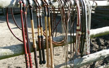 Kurz práskání bičem