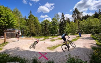 Cyklokurz v Krkonoších – dárek a zážitek