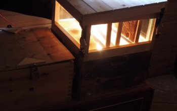 Úniková hra: Po stopách včelí královny