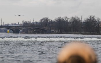 Plavba na lodi pražskými Benátkami