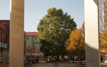 Venkovní úniková hra: Černý panter