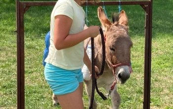 Rodinná exkurze na farmě + jízda na oslíkovi