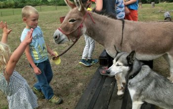 Rodinná exkurze na farmě + jízda na oslíkovi