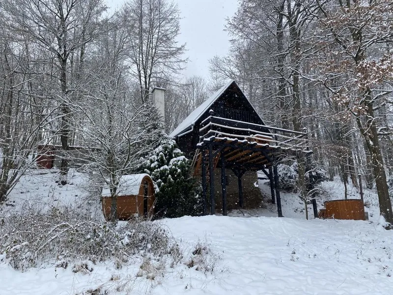 Kouzelná chata na samotě u jezera se saunou a vířivkou