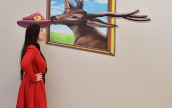 Úniková hra Tajemná pracovna + vstup do muzea…