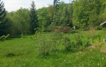 Terapie tmou: Pobyt ve tmě na jižní Moravě