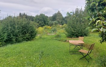 Jednodenní seminář Tai-chi a Čchi Kung