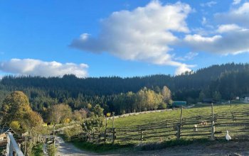 Relaxační víkend na statku na Slovensku