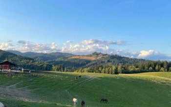 Relaxační víkend na statku na Slovensku