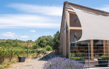 Degustace sýrů a vína na farmě s výrobou korbáčků