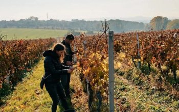 Na den vinařem: Od degustace vína po výrobu…