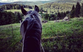 Celodenní výlet na koních v Beskydech, Slovensko