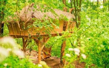 Ubytování v Treehouse pod Ještědem pro 2 + snídaně