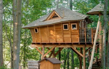Ubytování v tree housu s vlastní saunou