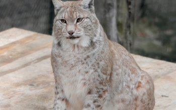 Vstup do Zoo Tábor