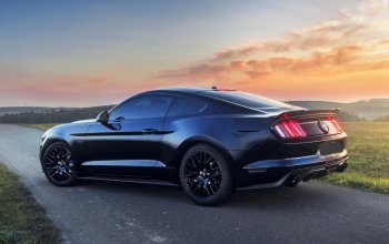 Jízda v supersportu Ford Mustang V8 55th Anniversary Edition