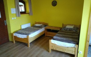 Zážitková noc v zoo