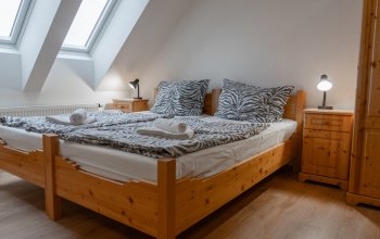 Ošetřovatelem v zoo na jeden den + nocování |…