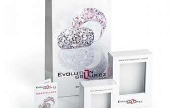 EVOLUTION GROUP CZ Stříbrné náušnice s krystaly Crystals from Swarovski®, Crystal - 31112.1 Crystal