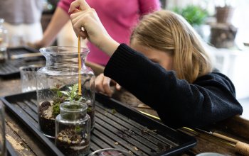 Kreativní workshop: Výroba mechárií