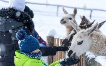Celodenní vstup do Farmaparku Soběhrdy