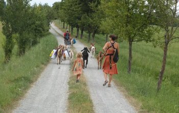 Procházka, výprava či piknik s kozou