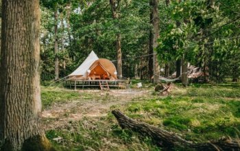 Glamping a treehouse