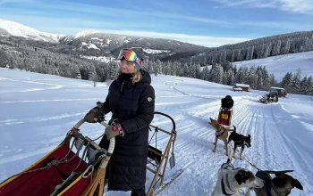 Mushing - jízda se psím spřežením