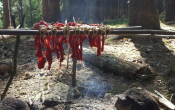 Kurz přežití v přírodě